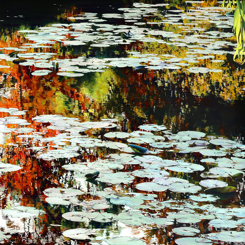 Nympheus Luminansis ©, "Lumières d'Automne" : Tirage d'art d'après une peinture à l'huile originale by Laurence Saunois, Print for Sale on Singulart