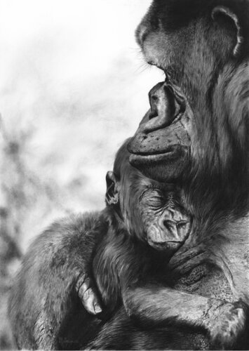 I have a dream di Laurence Saunois, Disegno in vendita su Singulart