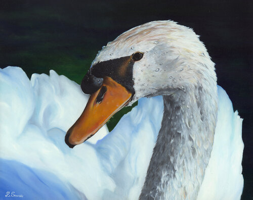 Portrait de cygne by Laurence Saunois, Painting for Sale on Singulart