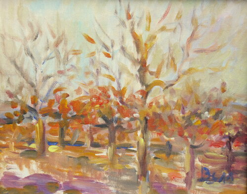 APFELBÄUME IM HERBST Barbara Schauß