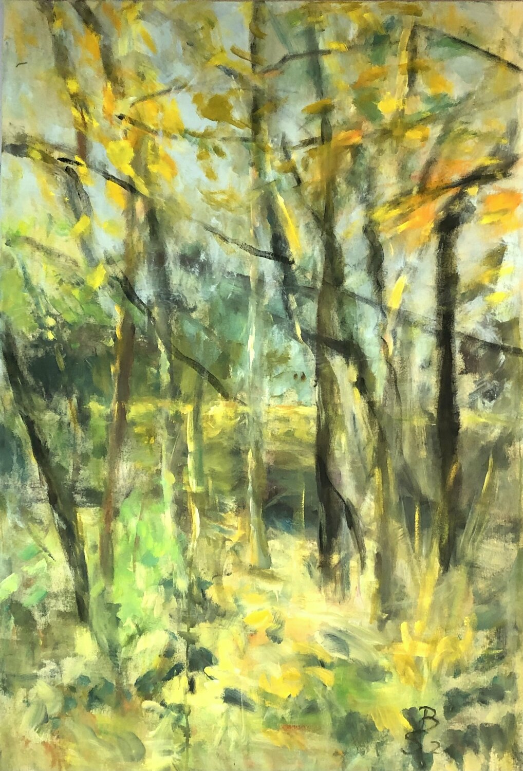 BÄUME IM HERBST Barbara Schauß