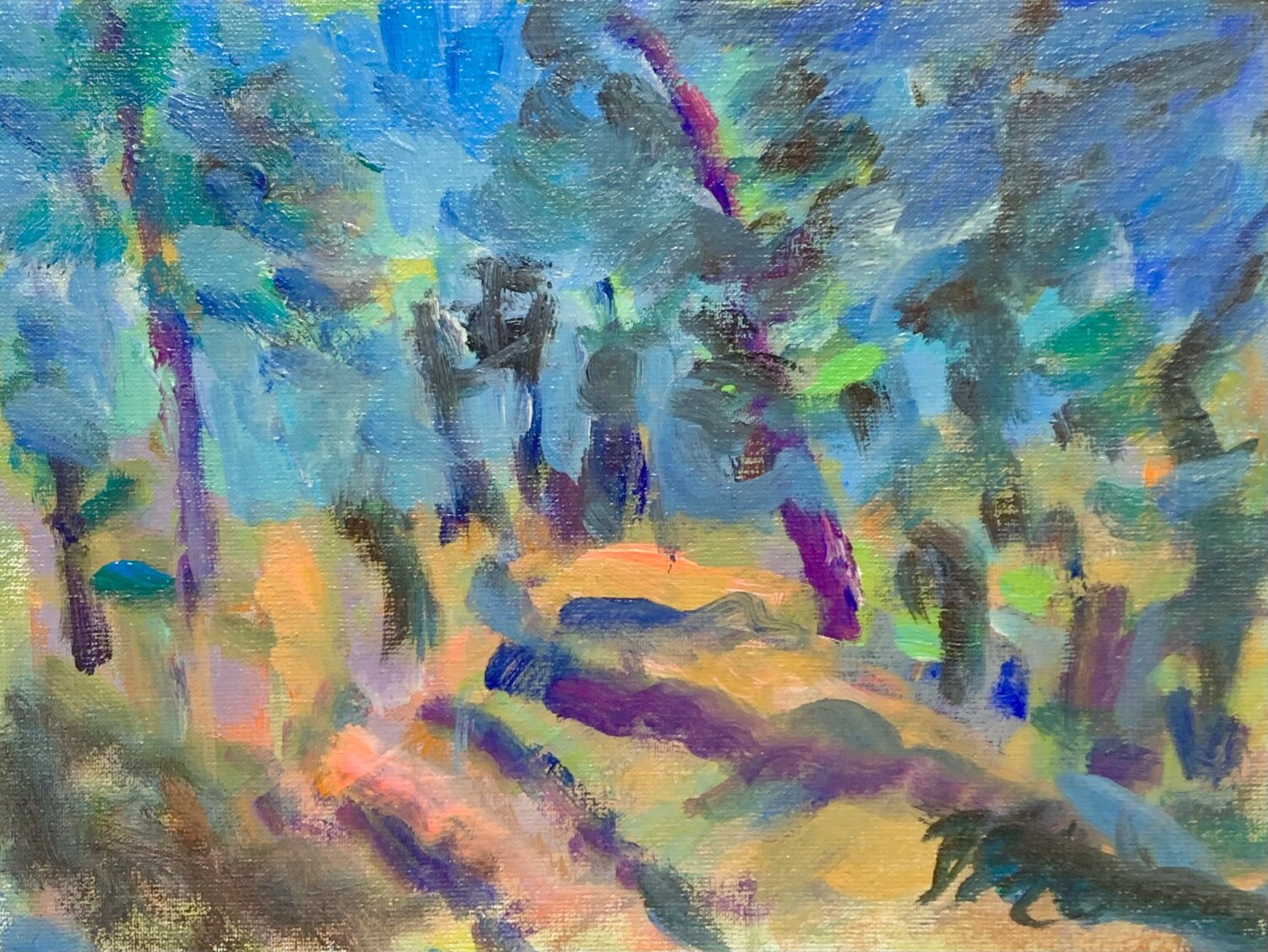 SOMMERWALD Barbara Schauß