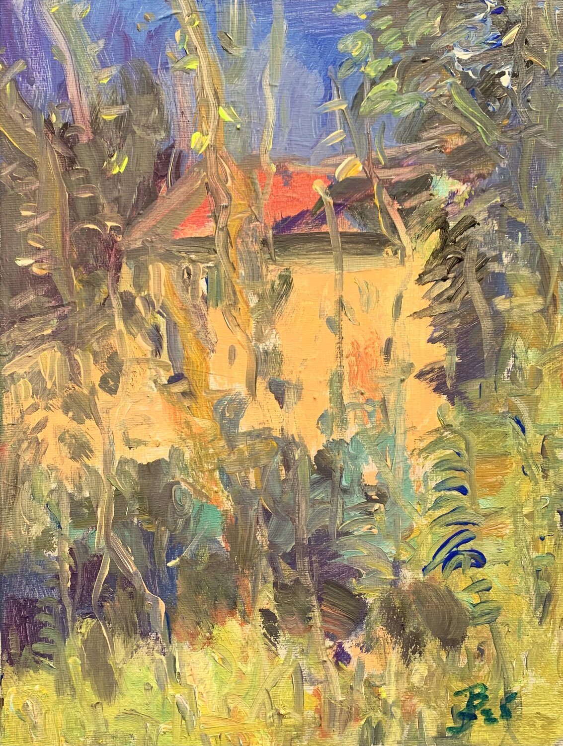 HAUS IM SÜDEN Barbara Schauß