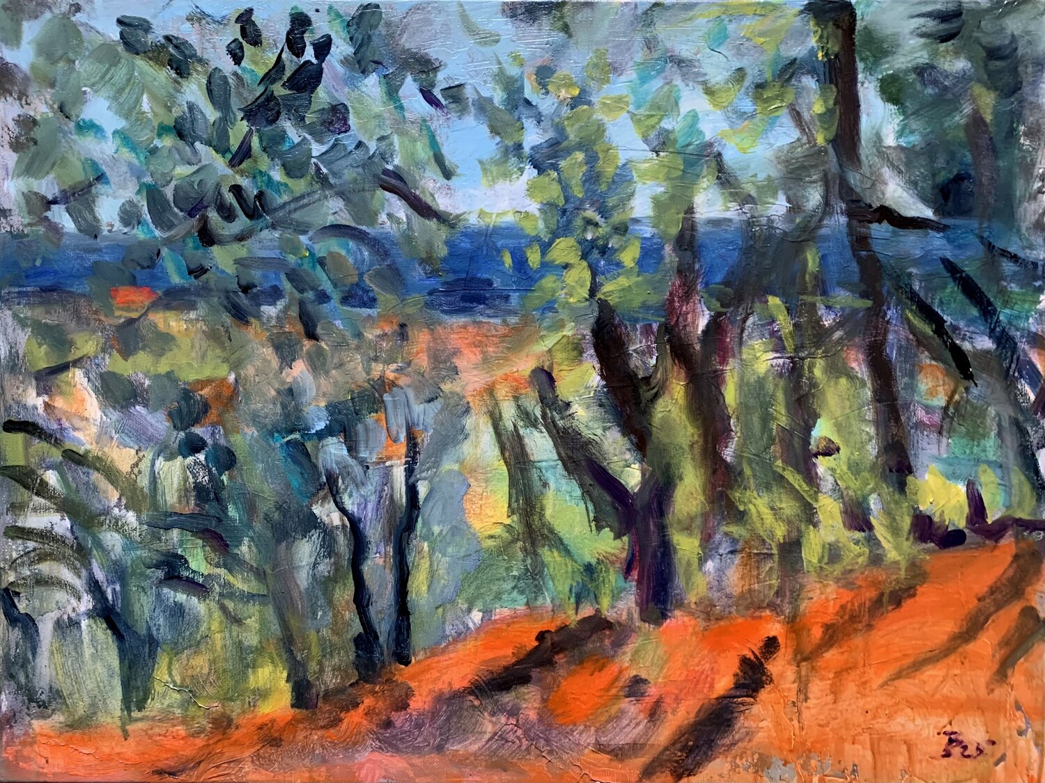 SOMMER IM SÜDEN Barbara Schauß