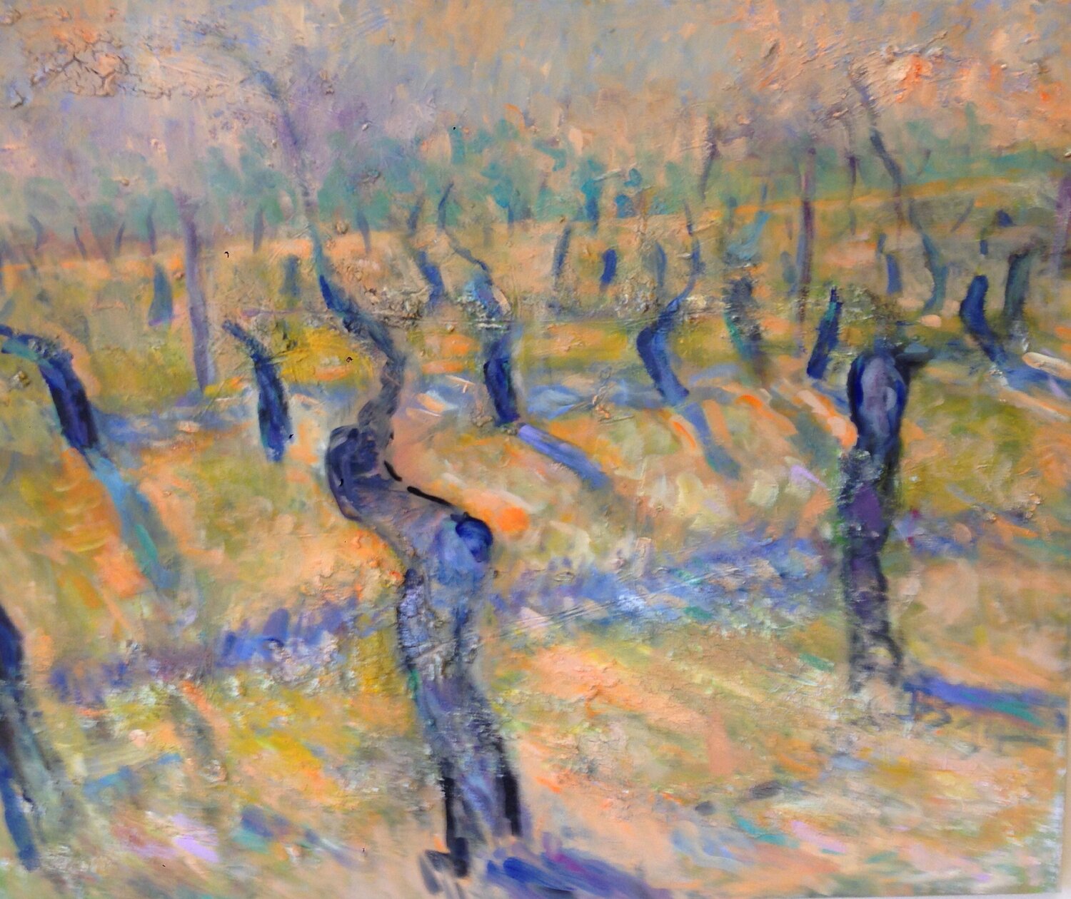 SONNE IM WEINBERG Barbara Schauß