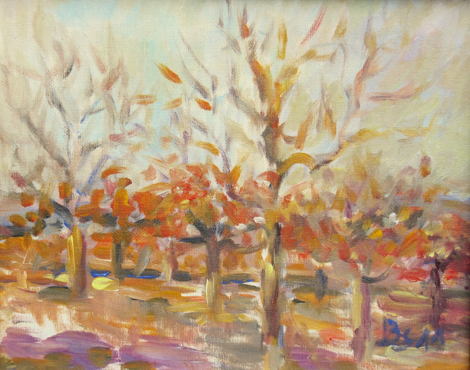 APFELBÄUME IM HERBST Barbara Schauß