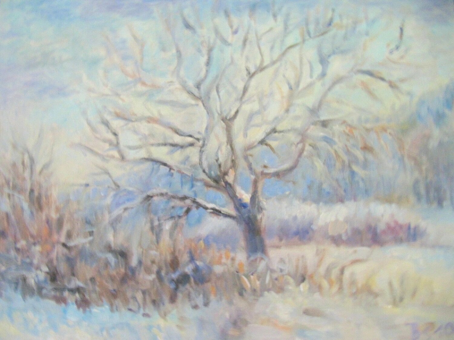 WINTERZAUBER Barbara Schauß