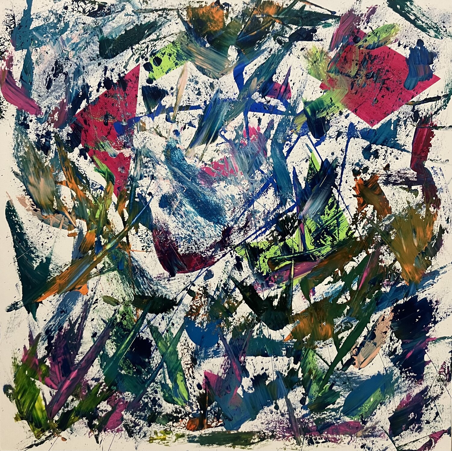 Color Cordis Nostri Antoine Junior Alves
