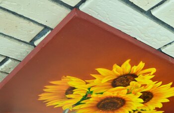 Vase with sunflowers Iryna Buivolova