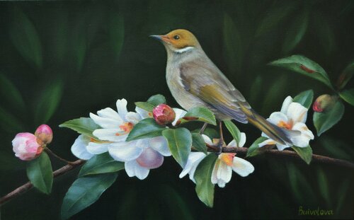 Bird on a magnolia branch de Iryna Buivolova, Pintura a la venta en Singulart