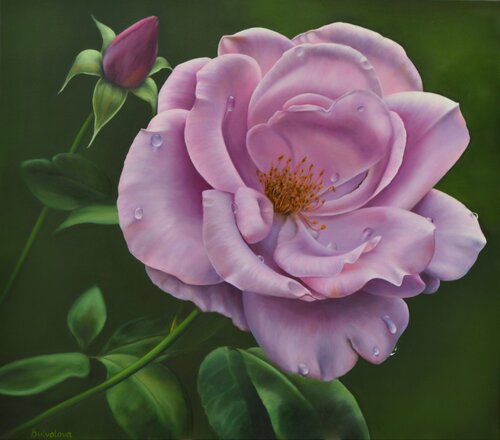Rose Pink van Iryna Buivolova, Schilderij te koop op Singulart