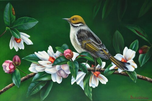 Bird on a magnolia branch 2 van Iryna Buivolova, Schilderij te koop op Singulart