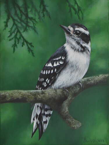 Woodpecker in the forest de Iryna Buivolova, Pintura a la venta en Singulart