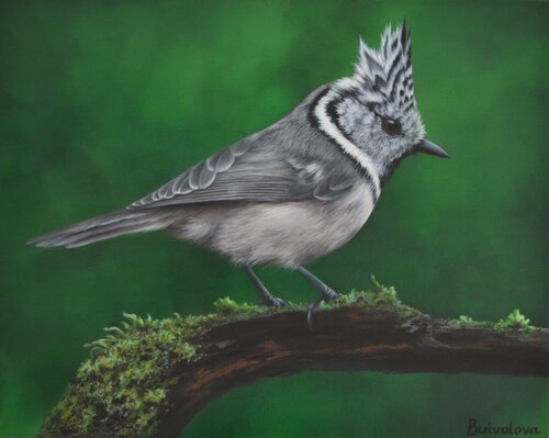 Bird sitting on a mossy snag in the forest de Iryna Buivolova, Pintura a la venta en Singulart
