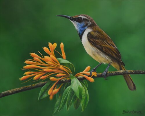 Еxotic bird de Iryna Buivolova, Pintura a la venta en Singulart