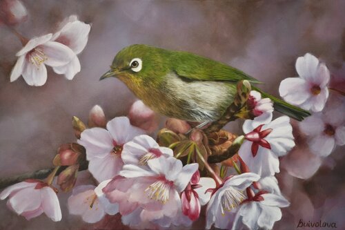 The warbling white-eye in the spring garden de Iryna Buivolova, Pintura a la venta en Singulart
