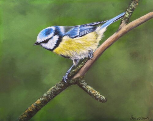 Titmouse in the forest greenery by Iryna Buivolova, Painting for Sale on Singulart