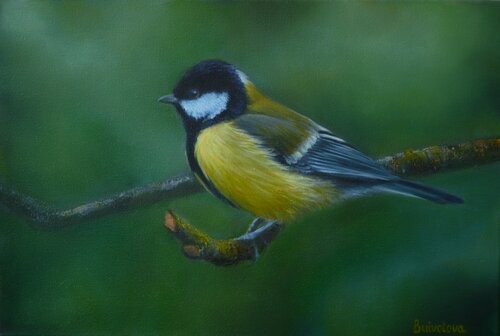 Titmouse in the forest de Iryna Buivolova, Pintura a la venta en Singulart