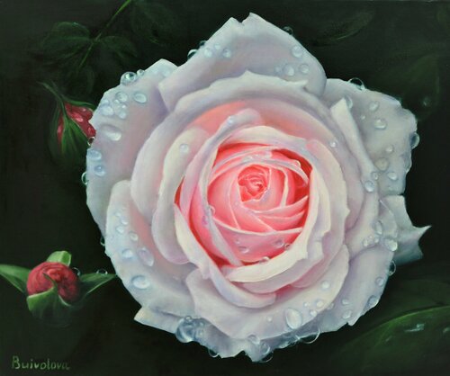 Rose aqua van Iryna Buivolova, Schilderij te koop op Singulart