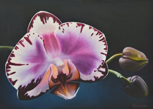 Purple orchid flower van Iryna Buivolova, Schilderij te koop op Singulart