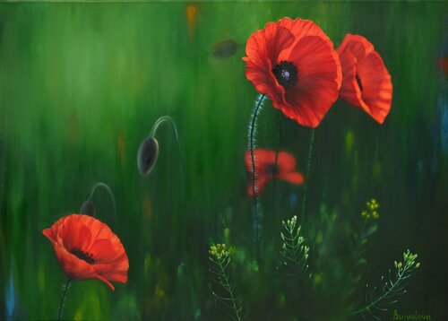 Red poppies van Iryna Buivolova, Schilderij te koop op Singulart