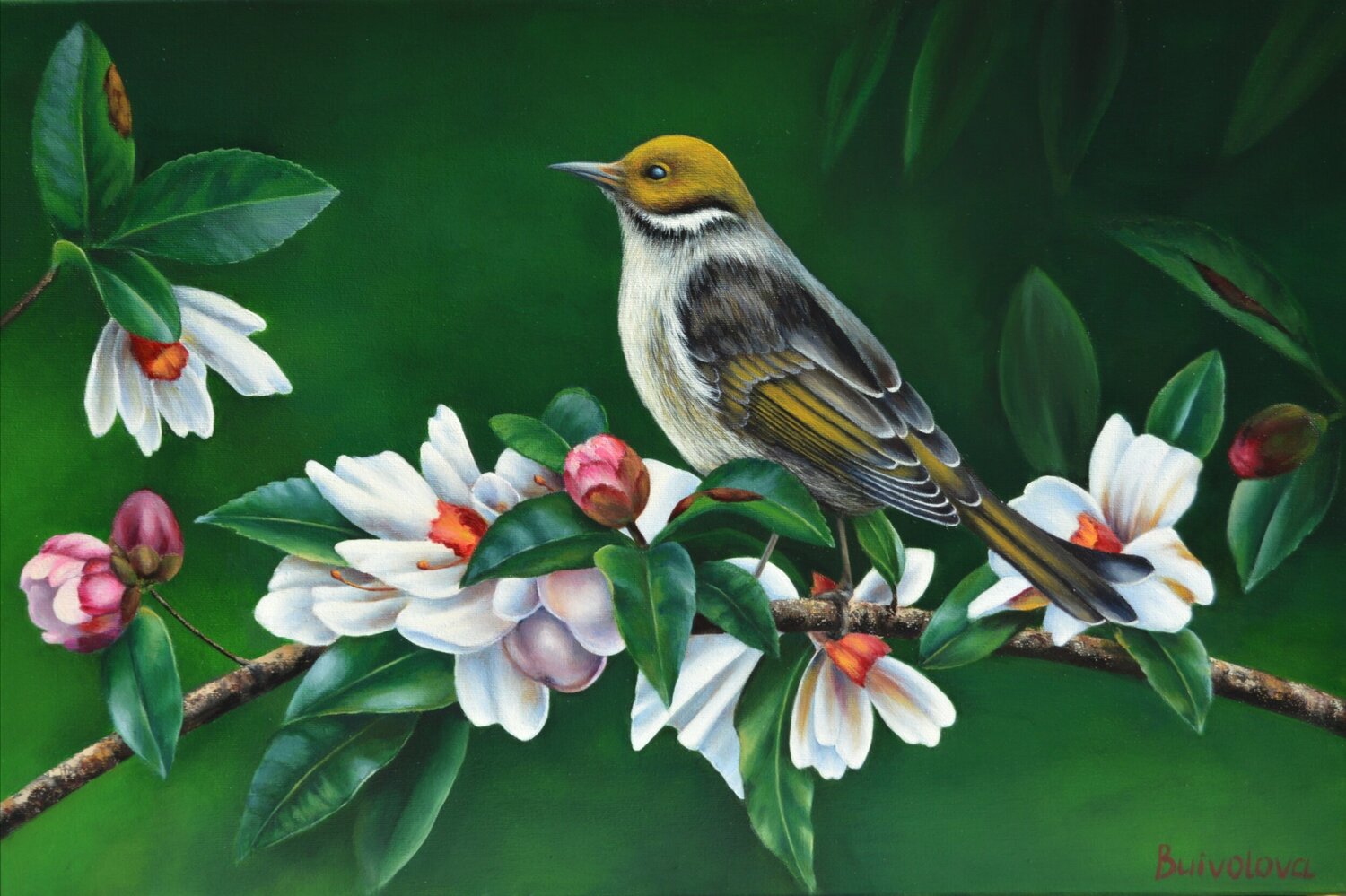 Bird on a magnolia branch 2 Iryna Buivolova