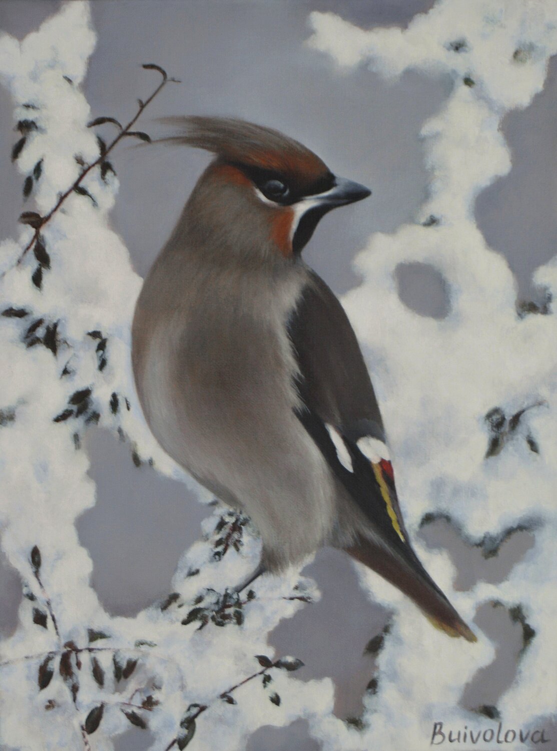 Bird in the winter garden Iryna Buivolova