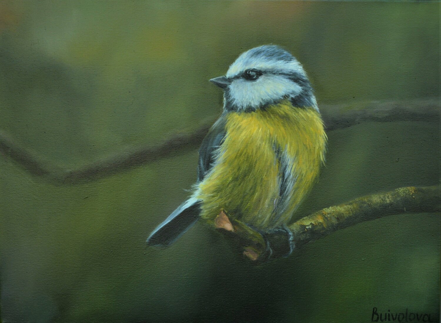 Bird titmouse painting Iryna Buivolova