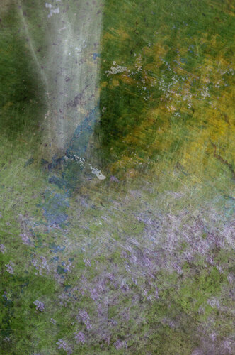 Fertile Soil von Dora Grivopoulou, Fotografie kaufen auf Singulart