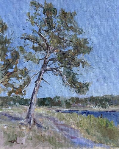 Pine Tree On A River Bank Study von Oleg Kamaev, Malerei kaufen auf Singulart