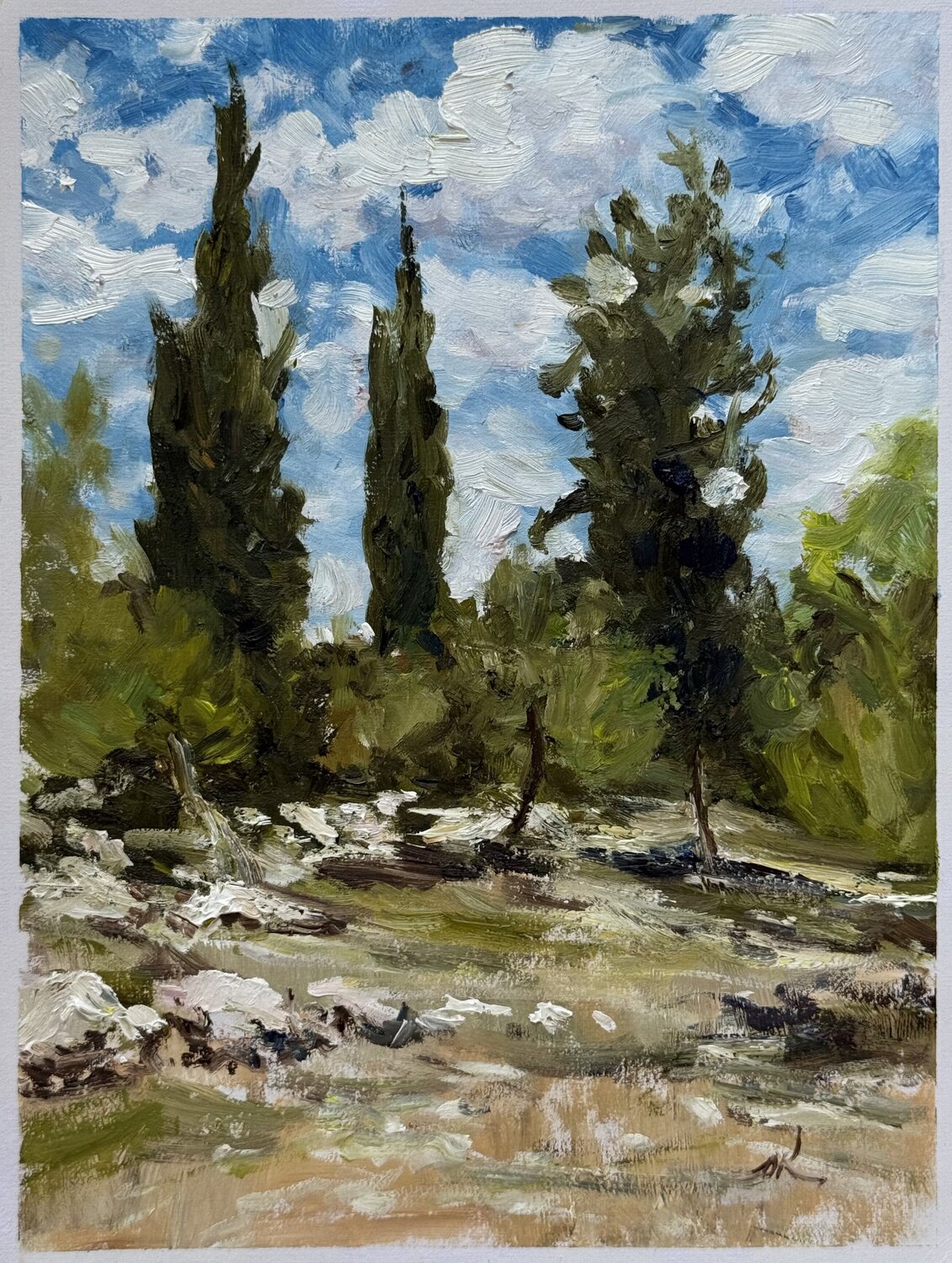 Cypress Trees Under Mediterranean Sun Oleg Kamaev