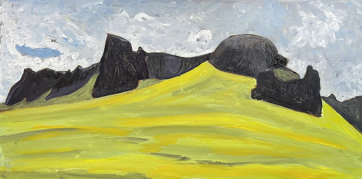 Iceland basaltic landscape Michel TESTARD