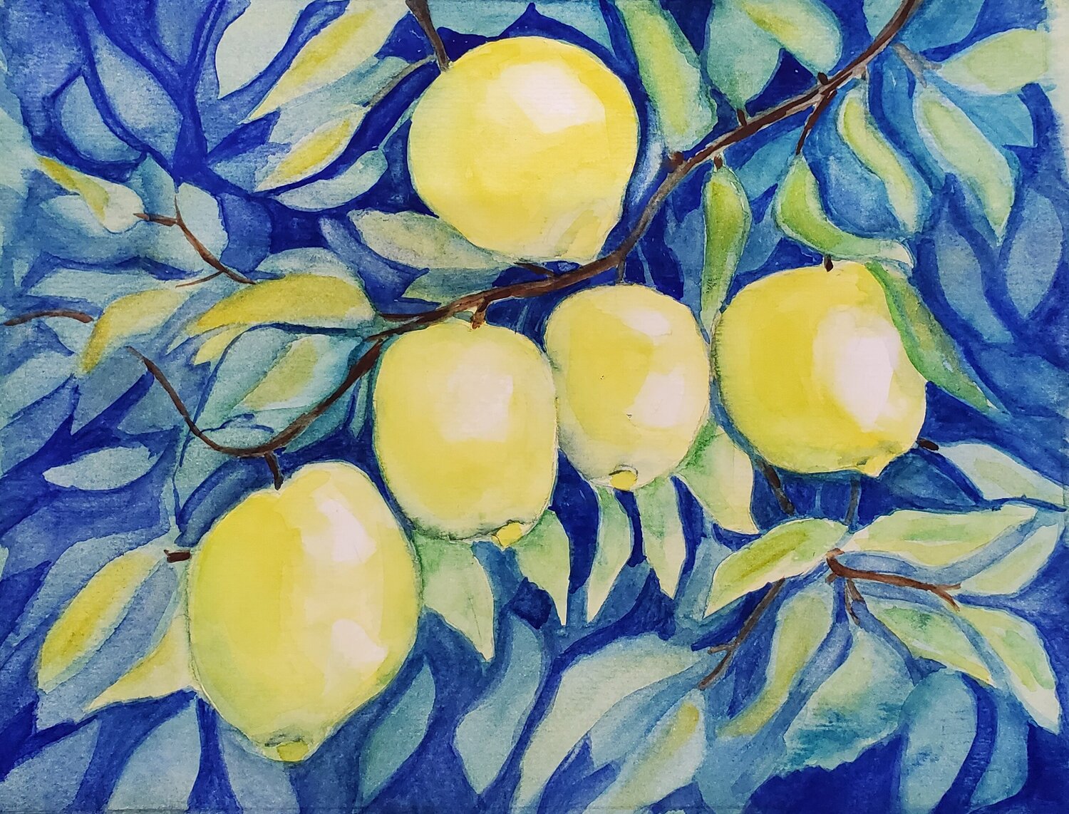 LEMONS Maggie Romanovici