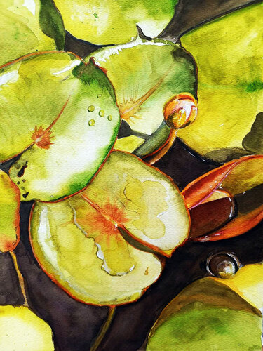 Sun-Kissed Pond von Marija Stefanovic, Malerei kaufen auf Singulart