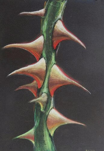 Thorns #1 di Marija Stefanovic, Opera su carta in vendita su Singulart