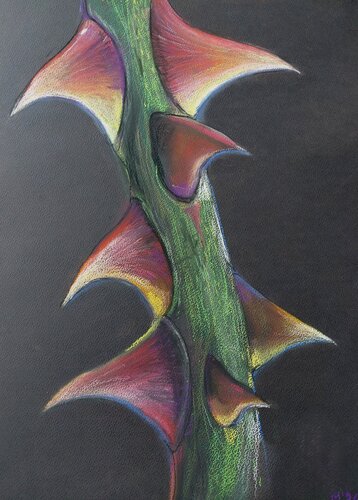 Thorns #2 by Marija Stefanovic, Work on Paper for Sale on Singulart