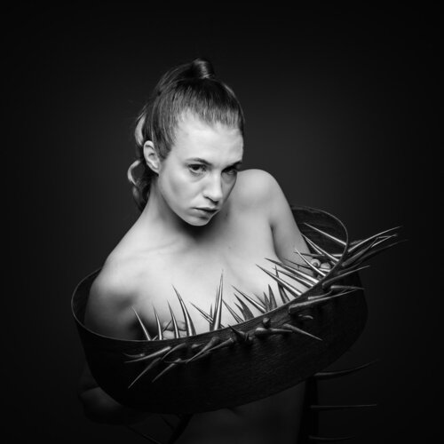 Dornen unserer Zeit #02 van Karlheinz Wachsenegger, Fotografie te koop op Singulart