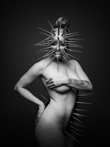 Dornen unserer Zeit #10 par Karlheinz Wachsenegger, Photographie en vente sur Singulart