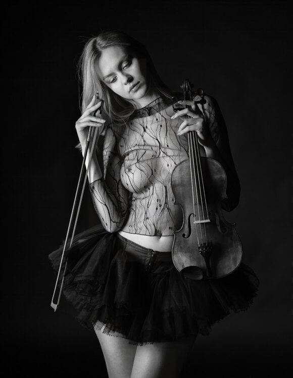 Violin Love #09 Karlheinz Wachsenegger