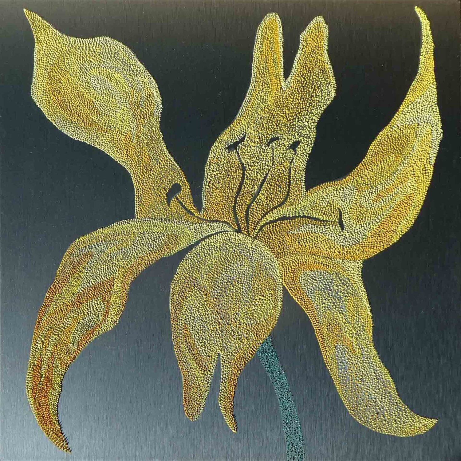 Lilly, Yellow Planet Nancy R. Wise