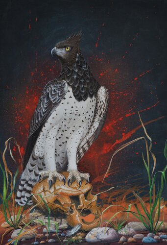 L'IMPOSSIBLE VICTOIRE. van Michel MICHAUX, Schilderij te koop op Singulart