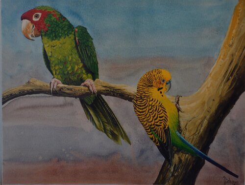 AMAZONES. di Michel MICHAUX, Opera su carta in vendita su Singulart