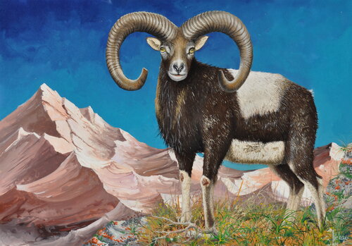 MOUFLON MEDITERRANEEN de Michel MICHAUX, Obra en papel a la venta en Singulart