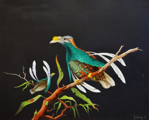 PARADISIER DE WALLACE by Michel MICHAUX, Work on Paper for Sale on Singulart