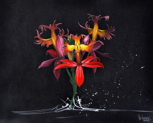 EPIDENDRUM ELLIPTICUM by Michel MICHAUX, Work on Paper for Sale on Singulart