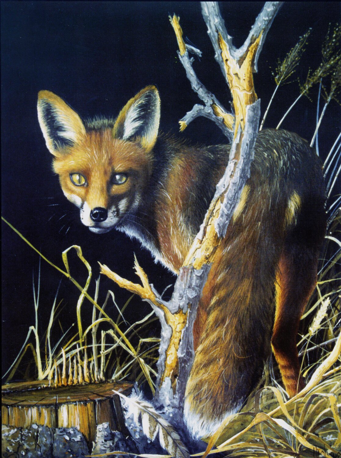 RENARD EN HIVER. Michel MICHAUX