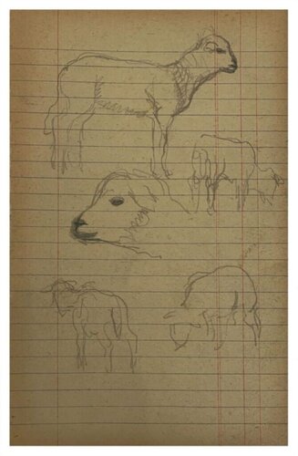 Study of Sheep di Adolphe Valette, Opera su carta in vendita su Singulart