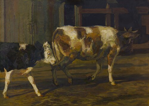 Cows 2 Robert Nizamov