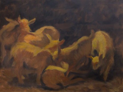 Goats 6 Robert Nizamov