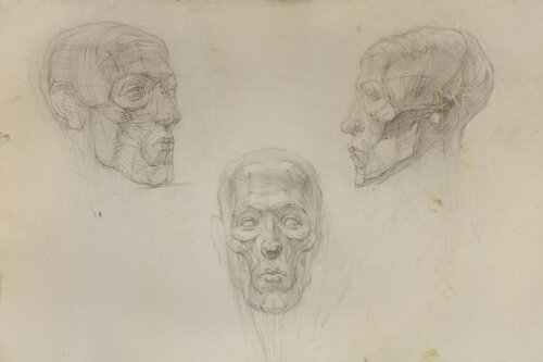 Houdon Ecorche Head von Robert Nizamov, Zeichnungen kaufen auf Singulart